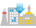 carbon consumption