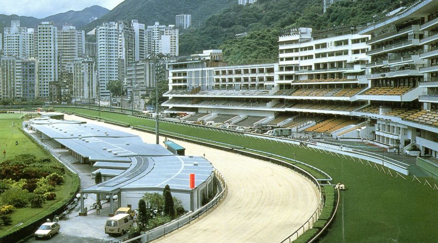 快活谷马场看台翻新工程 
 
 